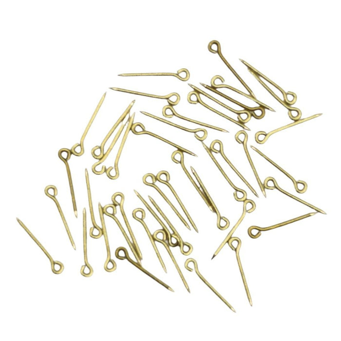 Brass Eye Pins