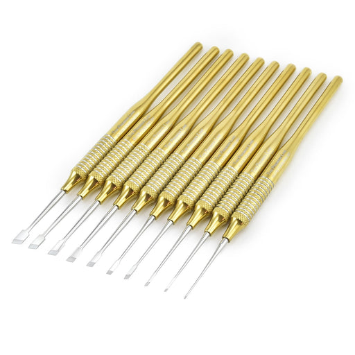The 10 PC. Skewed “Premier Elite” Titanium-Plated Chisel Set by Micro-Mark