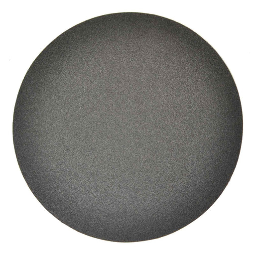 10" Silicon Carbide 180G Sanding Disk