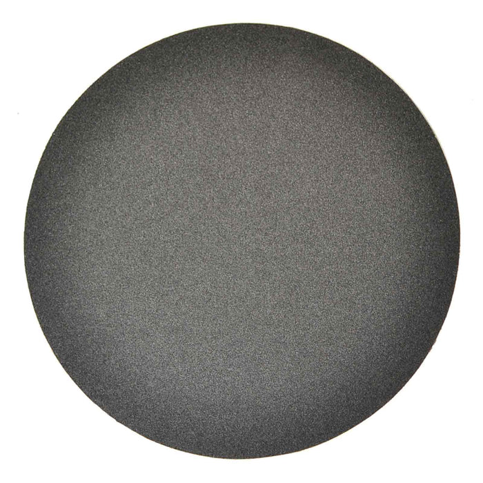 10" Silicon Carbide 180G Sanding Disk