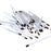 Applicators for Weathering Powders (50 pieces)