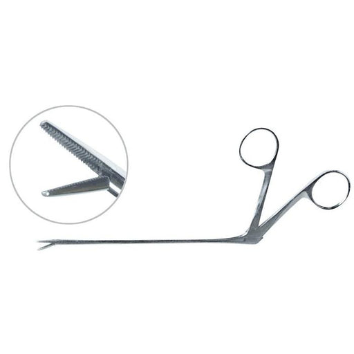 Ear Polypus, 5-1/2 Inch