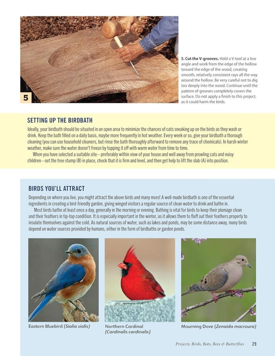 Making Practical Backyard Projects in Wood: Beautiful Things to Make in a Weekend, Including Ready-to-Use Plans & Patterns Book
