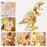 Robotime® 3D Outdoor Sound Control Wooden T-Rex