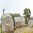 Rural Farm Structures, Set of 3 Kits, HO Scale by Scientific