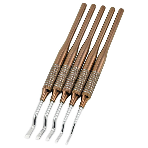 The 5-Piece Dogleg "Premier Elite" Titanium-Plated Chisel Set by Micro-Mark